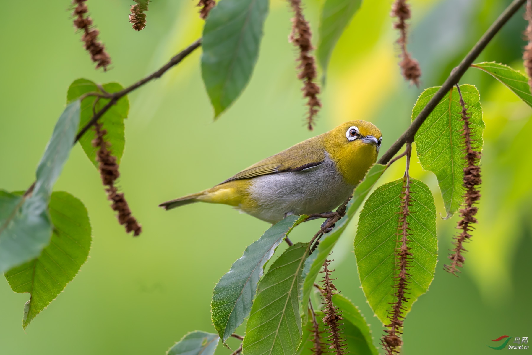 DSC_3122-1.jpg
