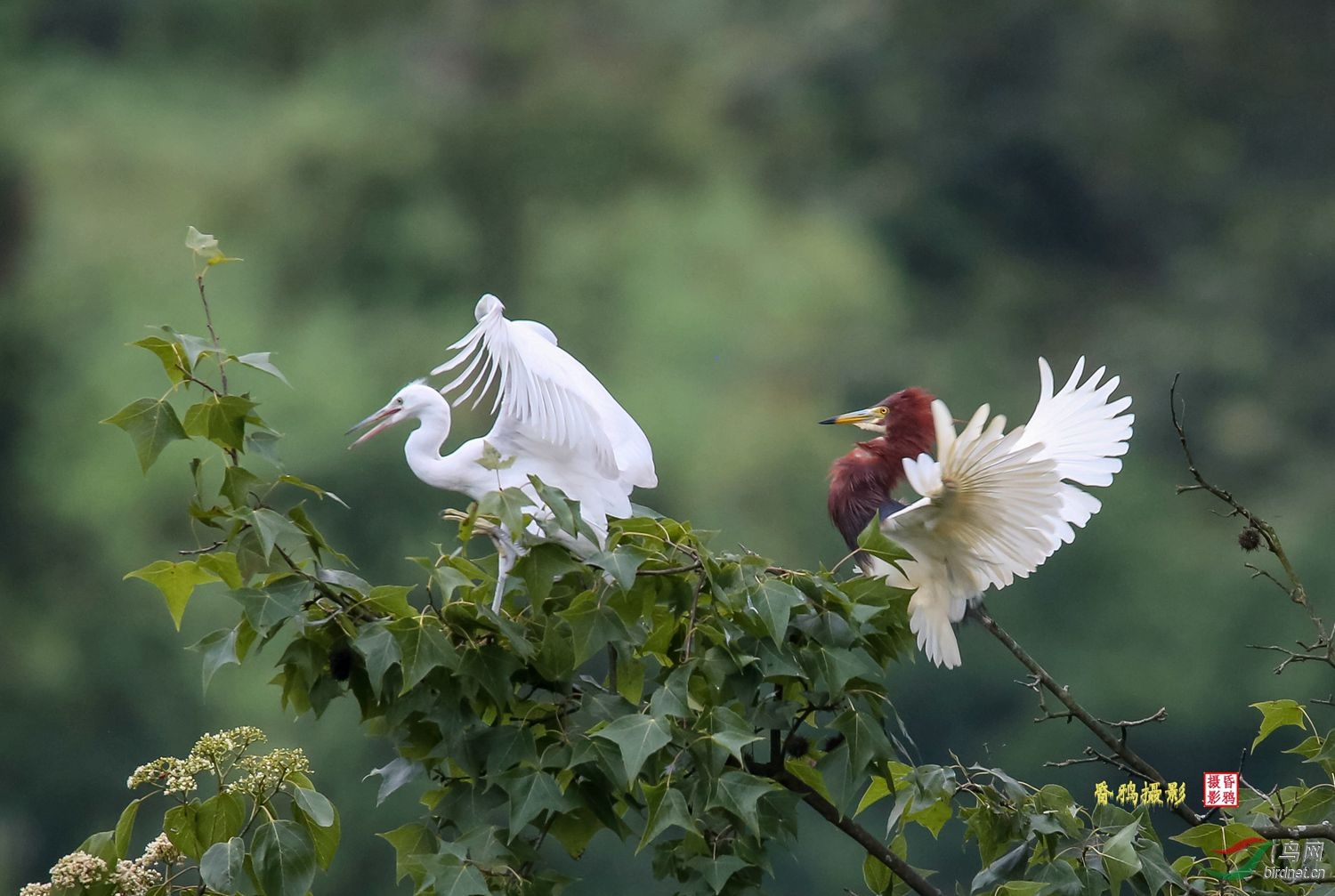 ���غͳ���