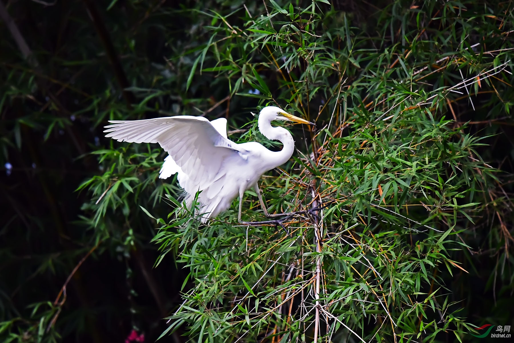 DSC_0302.jpg