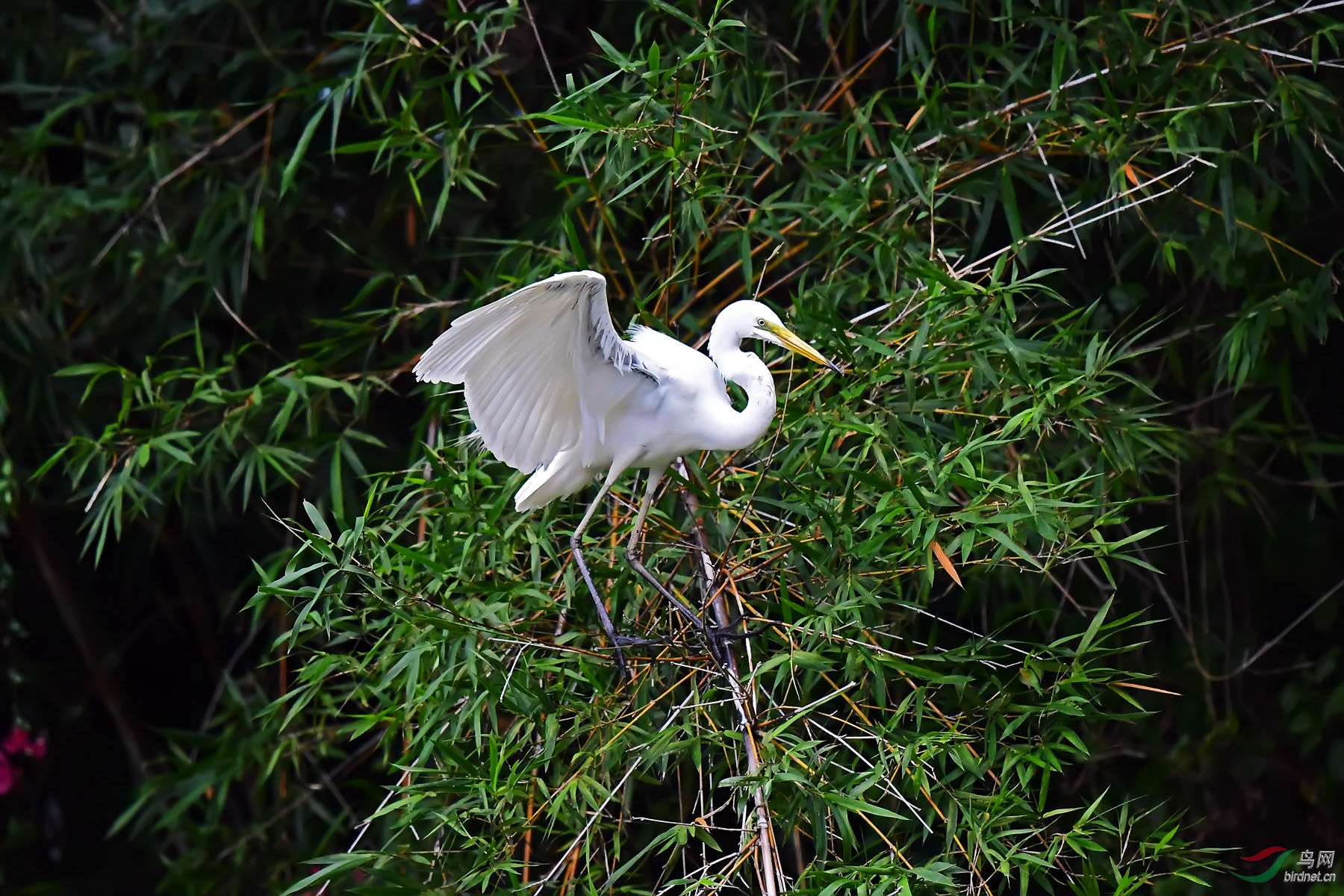 DSC_0303.jpg