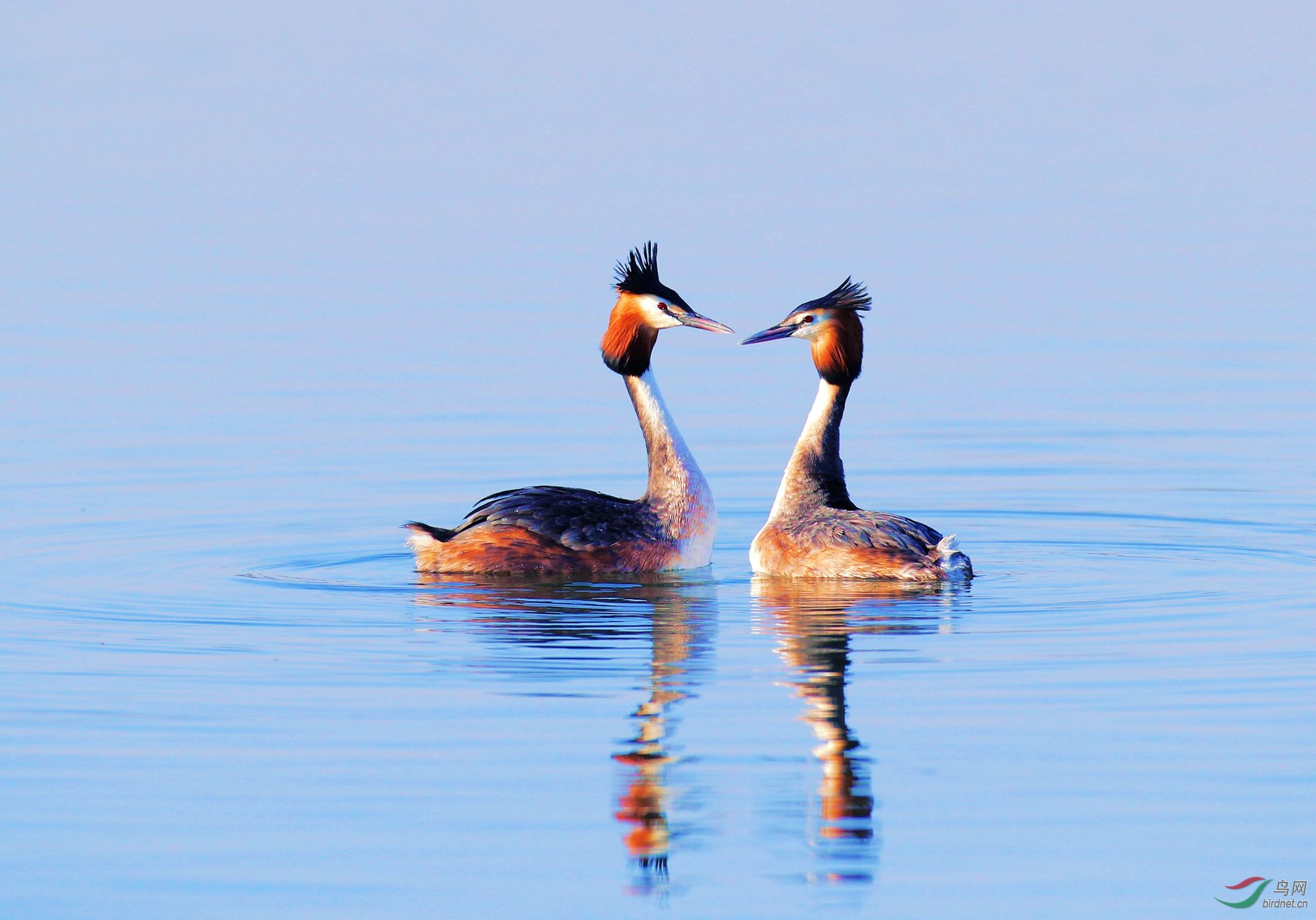 AK2Y1140_2000.jpg