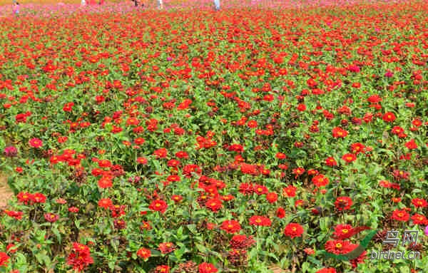 11DSC_0974_����.jpg