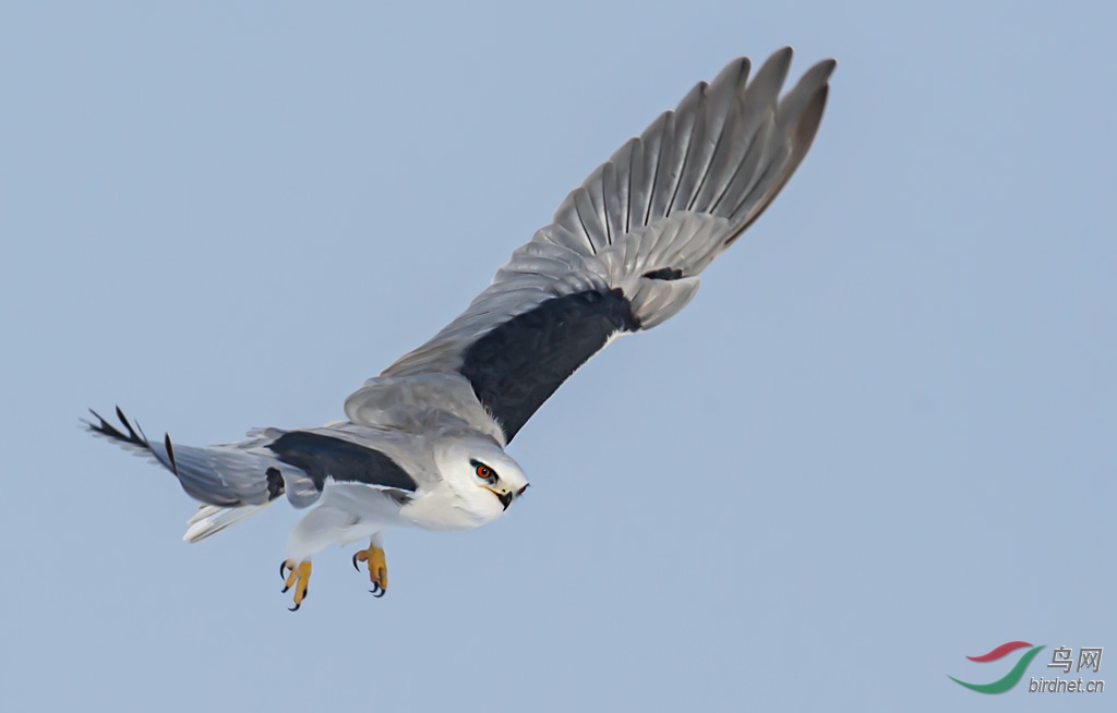 DSC_8807-0.jpg
