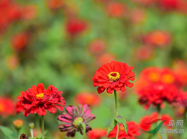 DSC_1057_����.jpg