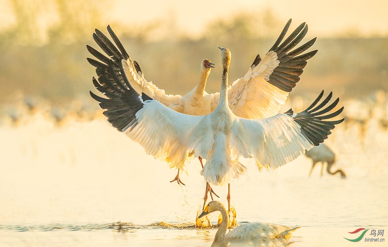 _DSC0936 (2)_��ͼ��.jpg