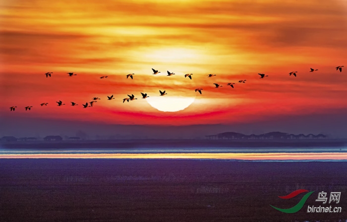 222 (126).JPG