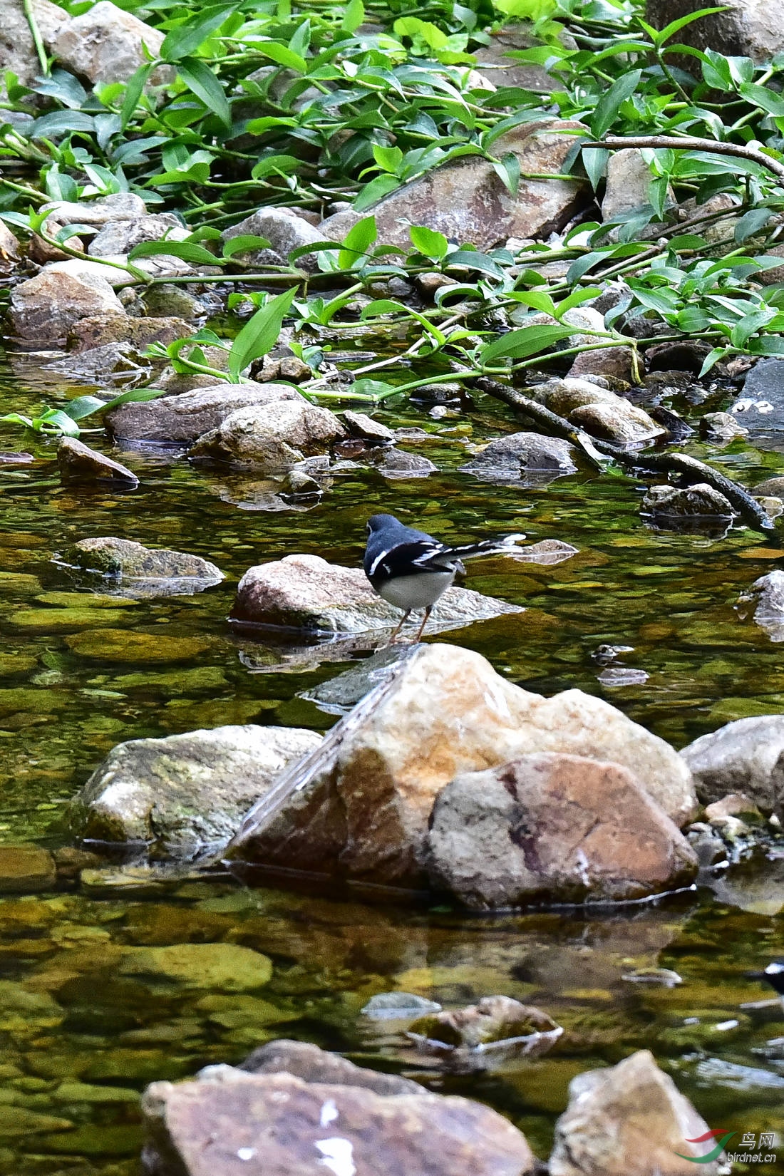 DSC_0298.JPG