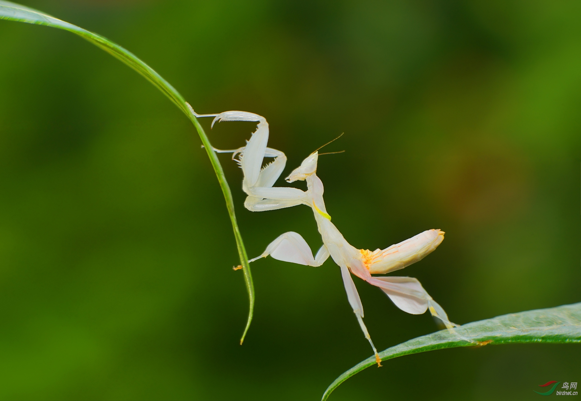 DSC_2440 ��������.jpg