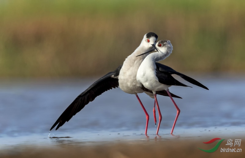 222 (167).JPG