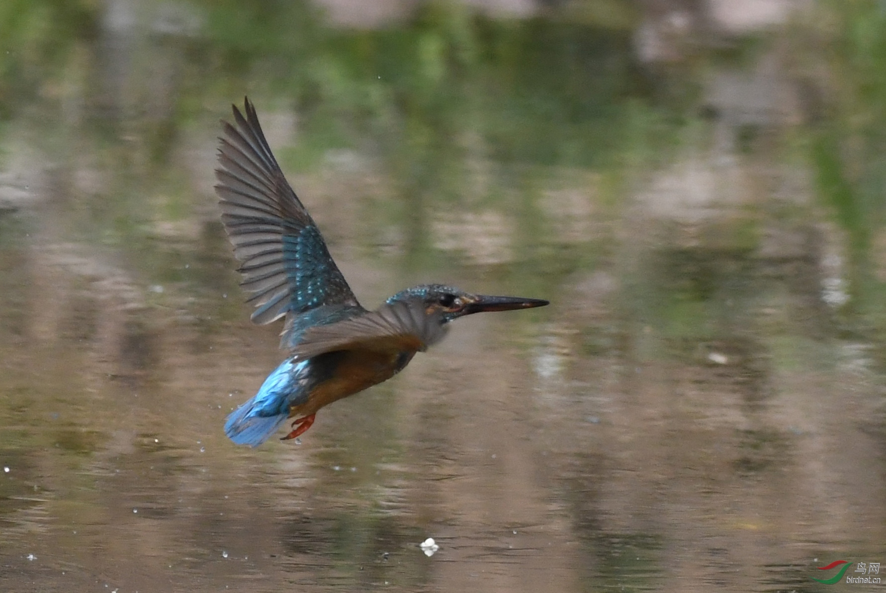 ������Ӱ 378����.jpg