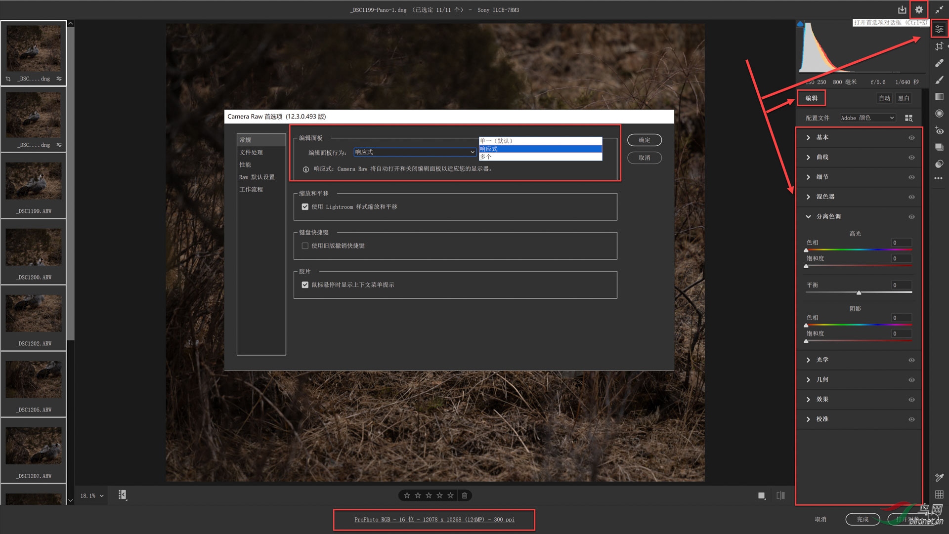04 ��ѡ��01-���棨1�� s.JPG