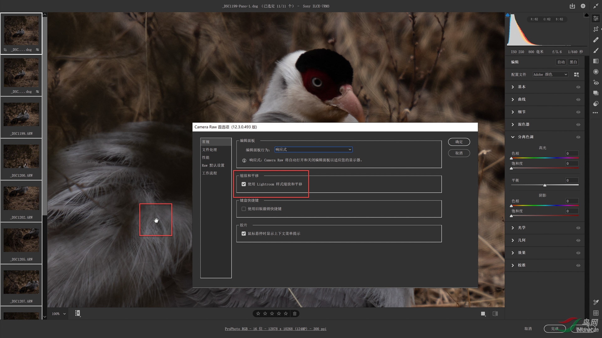 05 ��ѡ��01-���棨2�� s.JPG