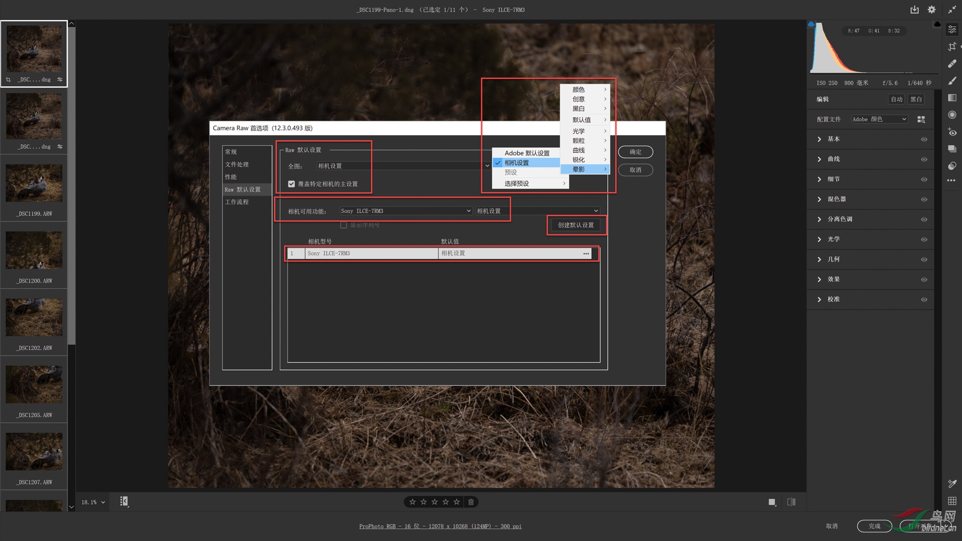 09 RAWĬ������ s.JPG