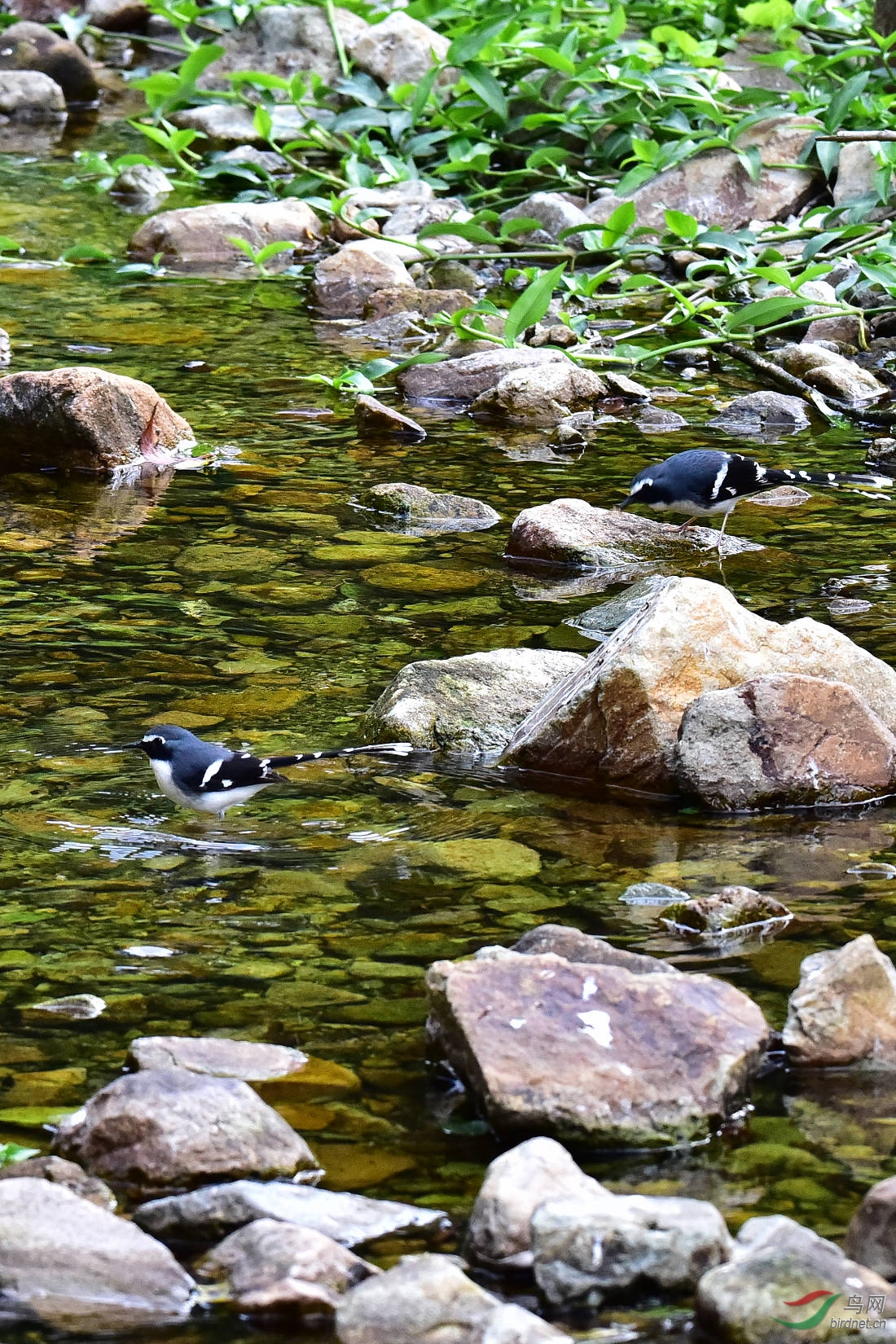 DSC_0304.JPG