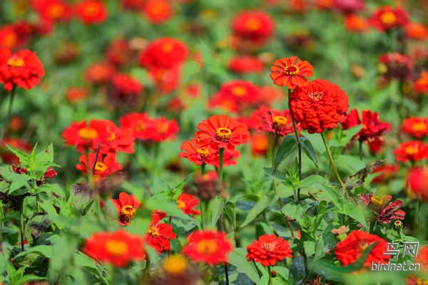 DSC_1068_����.jpg