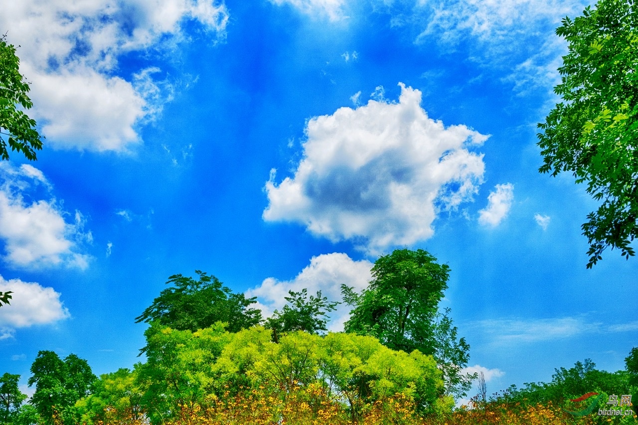蓝天白云鸟语花香,让我们尽情拥抱令人心旷神怡的美丽大自然吧……!