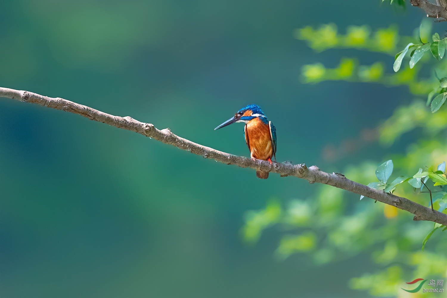 _DSC3552-2.jpg