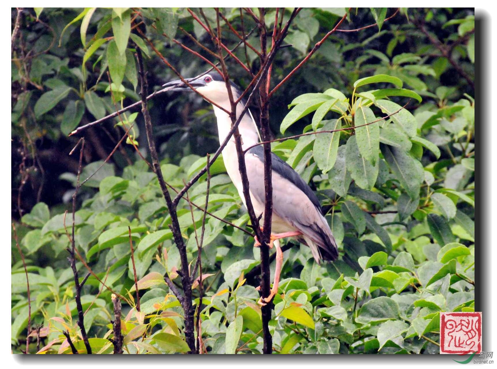 照片 669_副本_副本.jpg