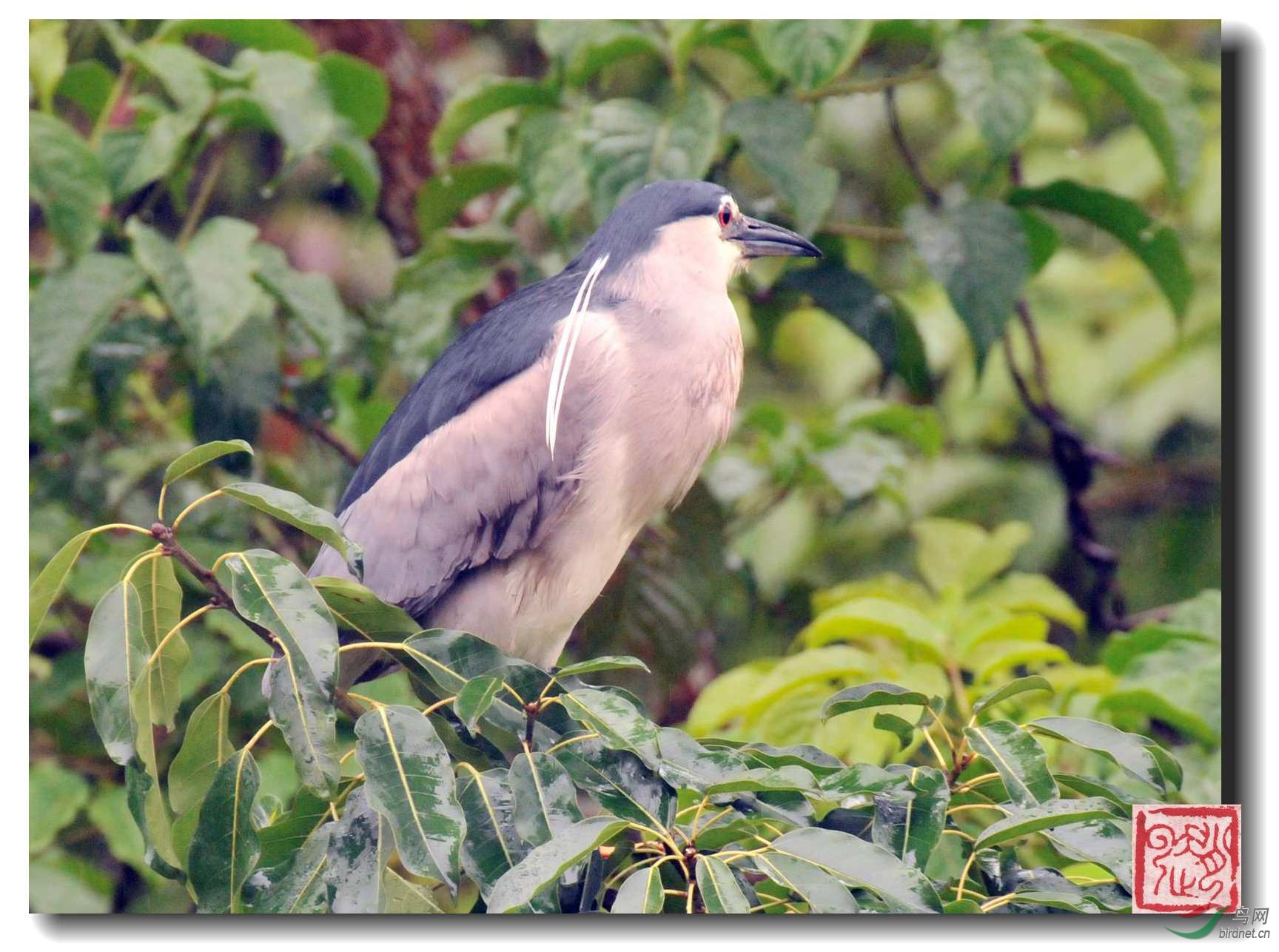 照片 674_副本_副本.jpg