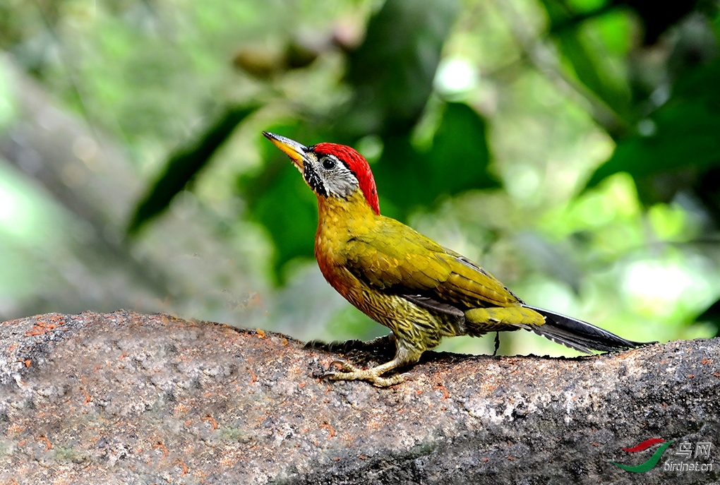 ��Т ��ʦ����.jpg