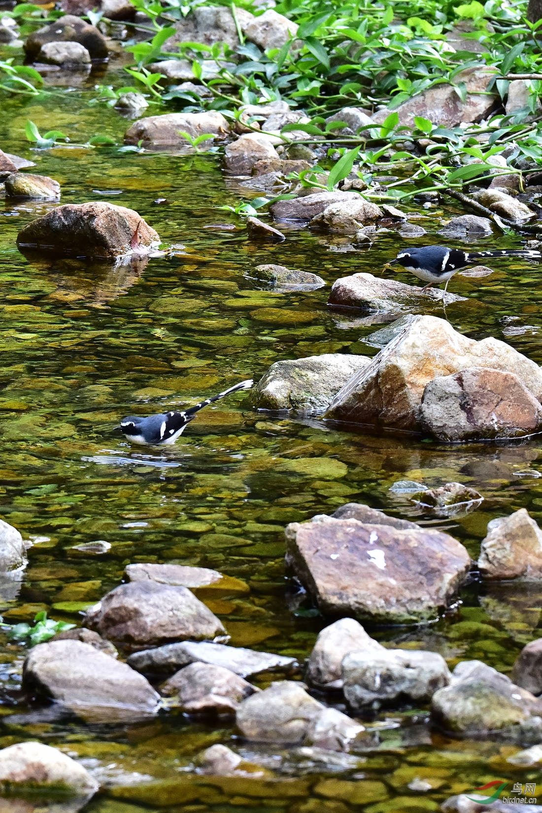 DSC_0305.JPG
