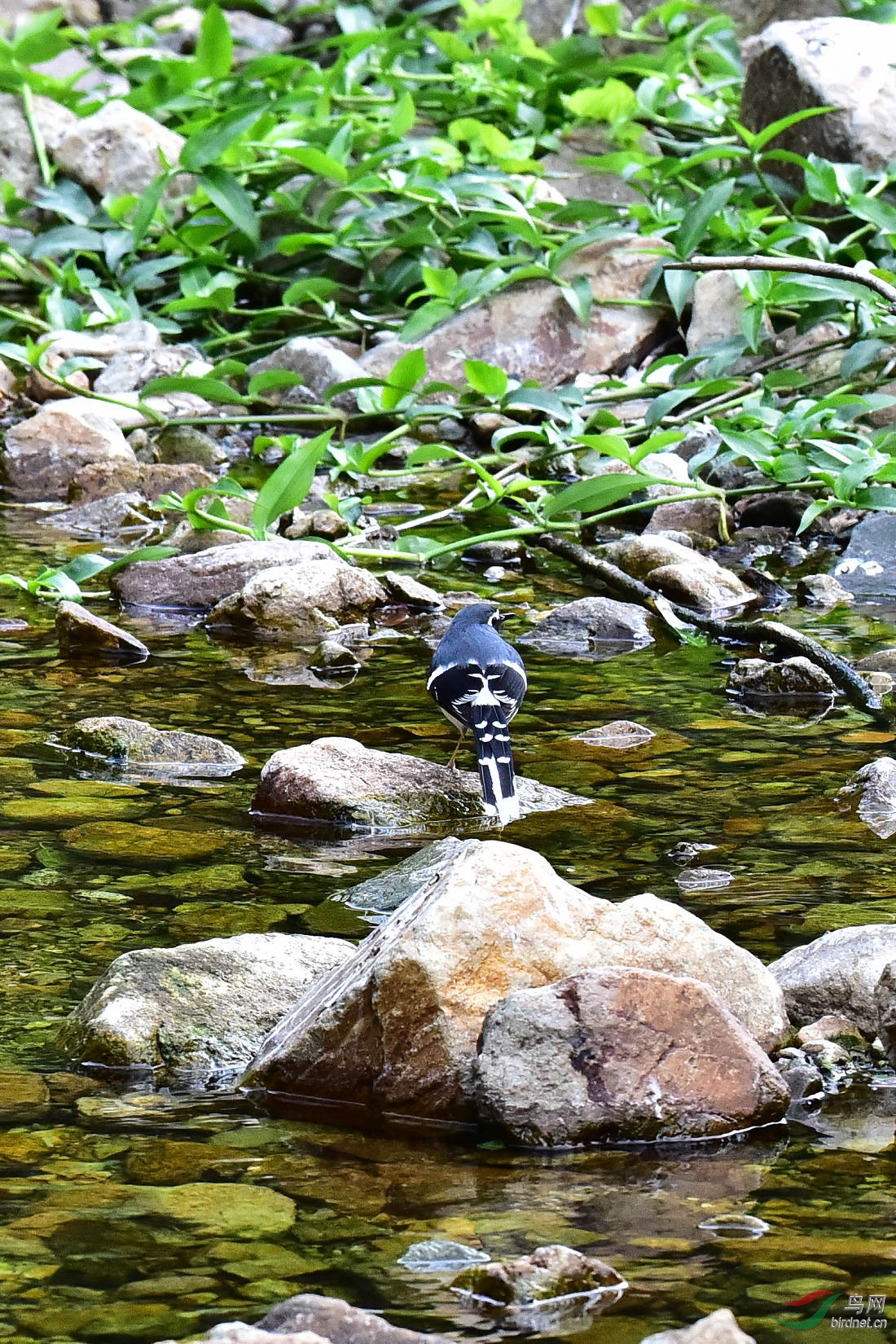 DSC_0307.jpg