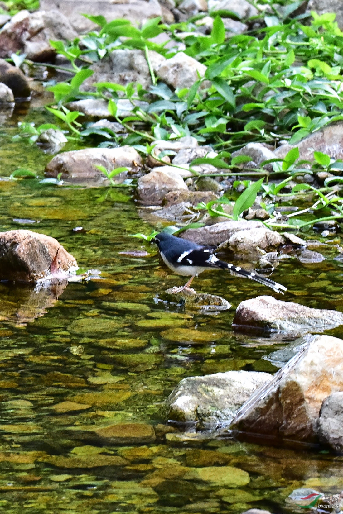 DSC_0308.jpg