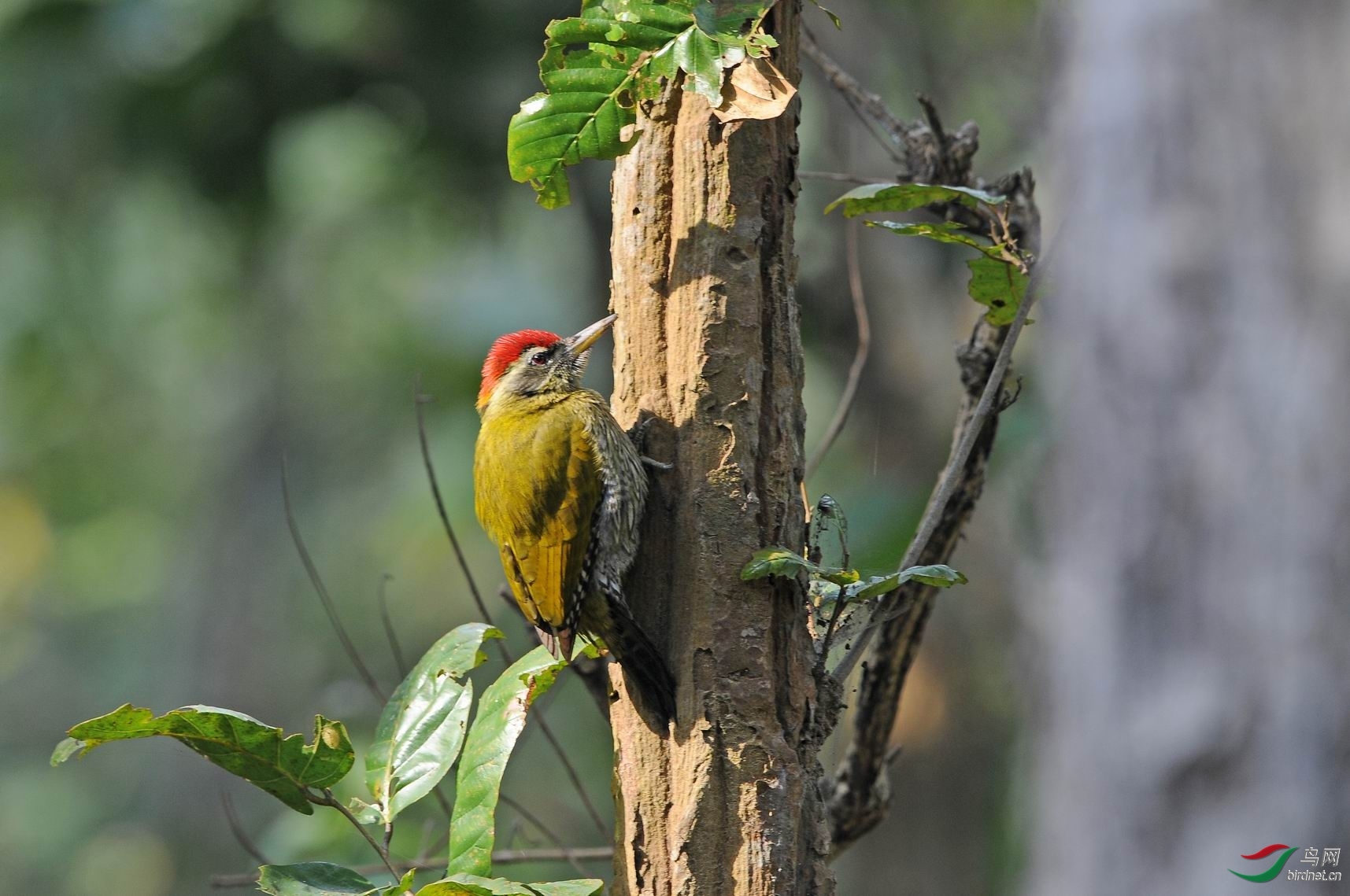 ���� ��ʦ����.jpg