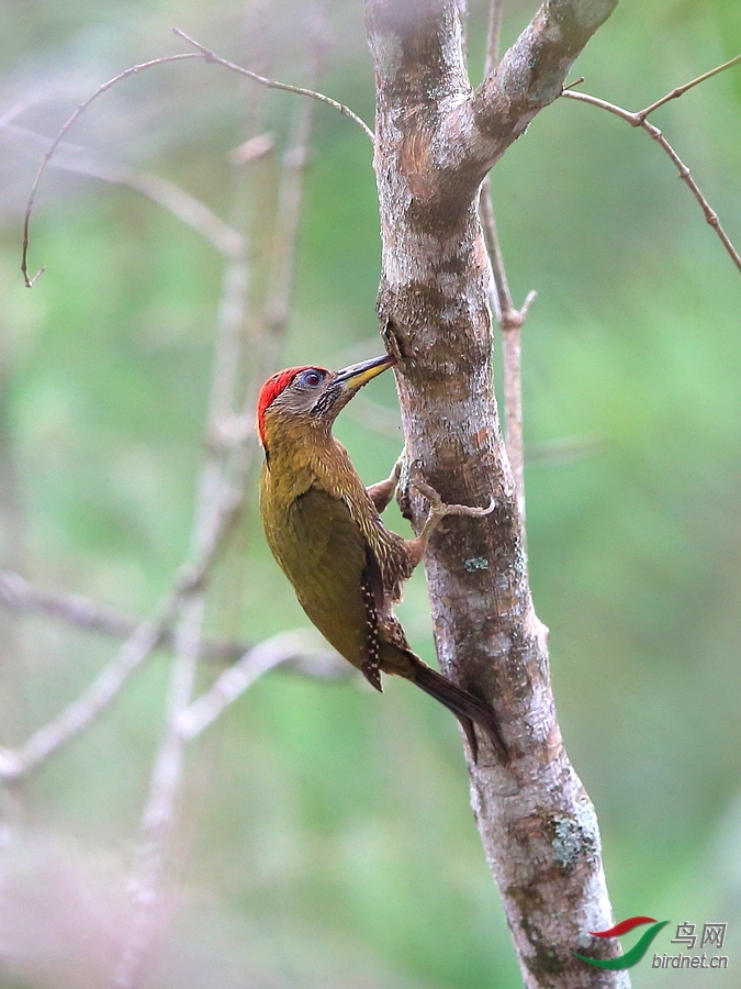 ���� ��ʦ����.jpg