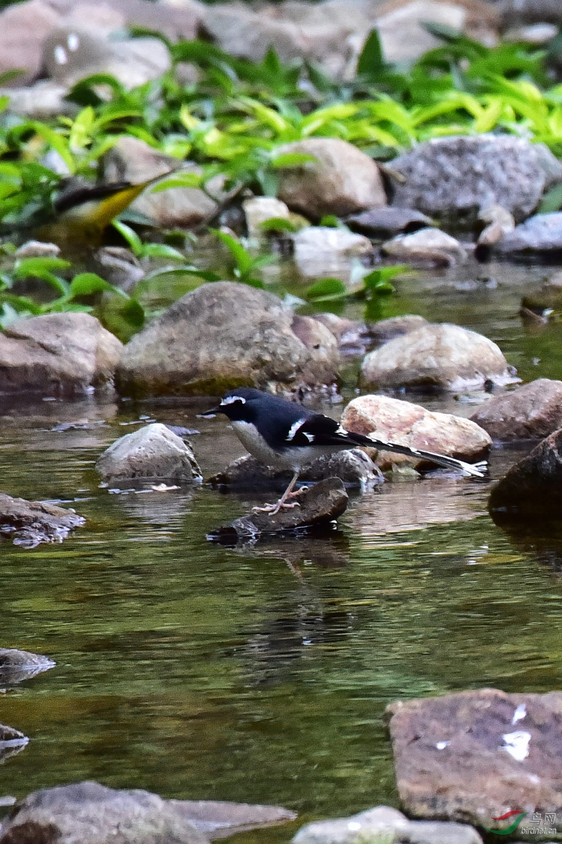 DSC_0309.JPG