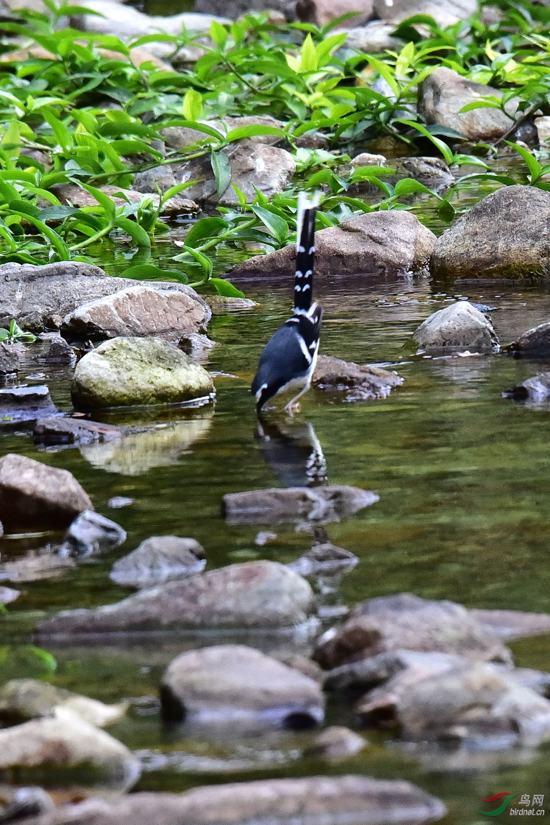 DSC_0310.JPG