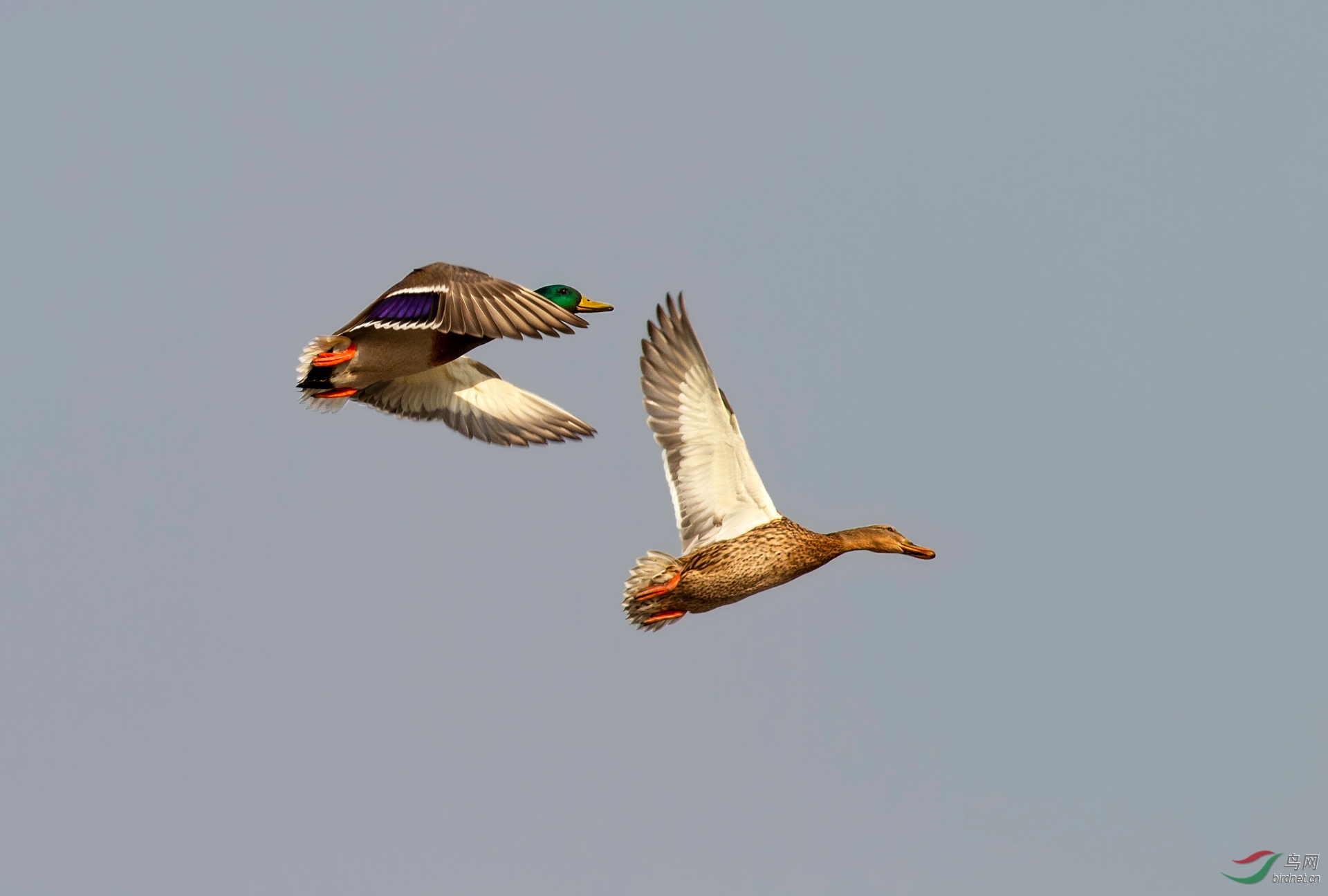 IMG_2795.jpg