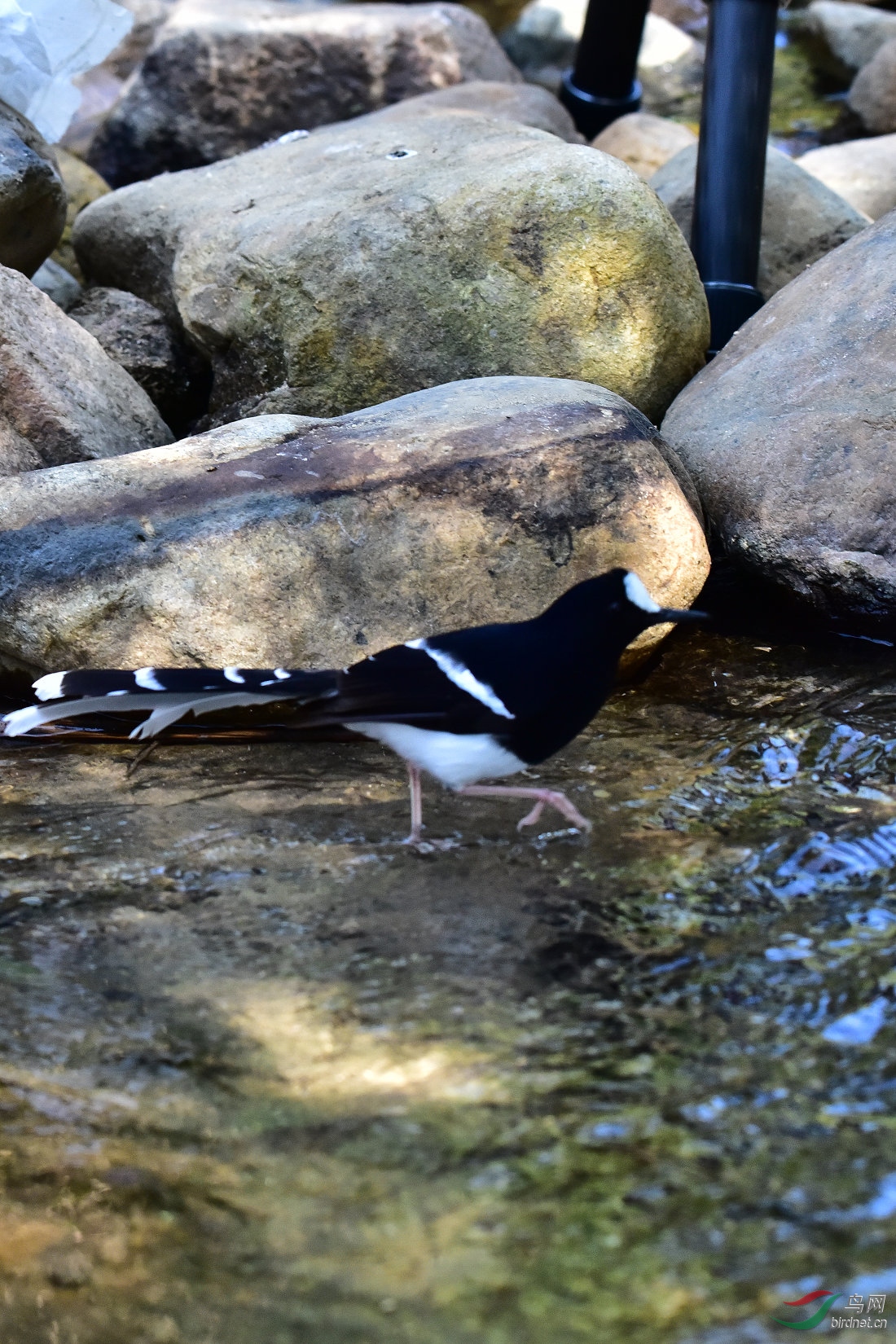 DSC_0314.JPG