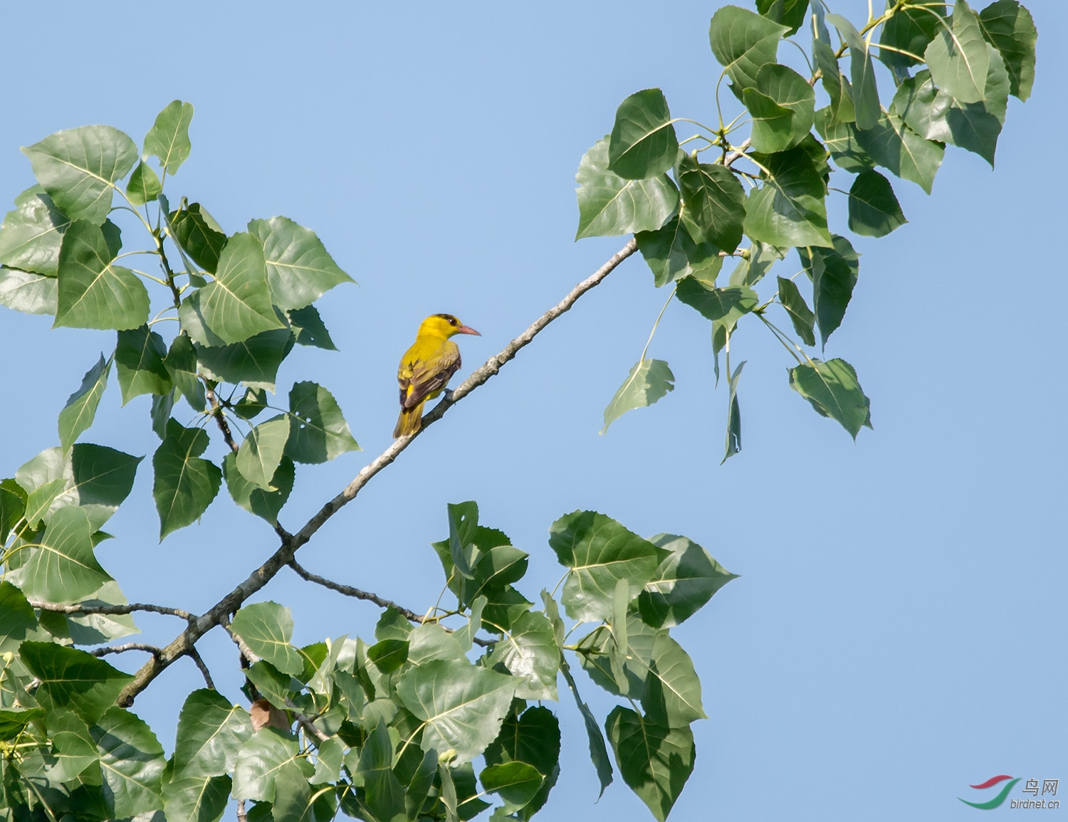 50������