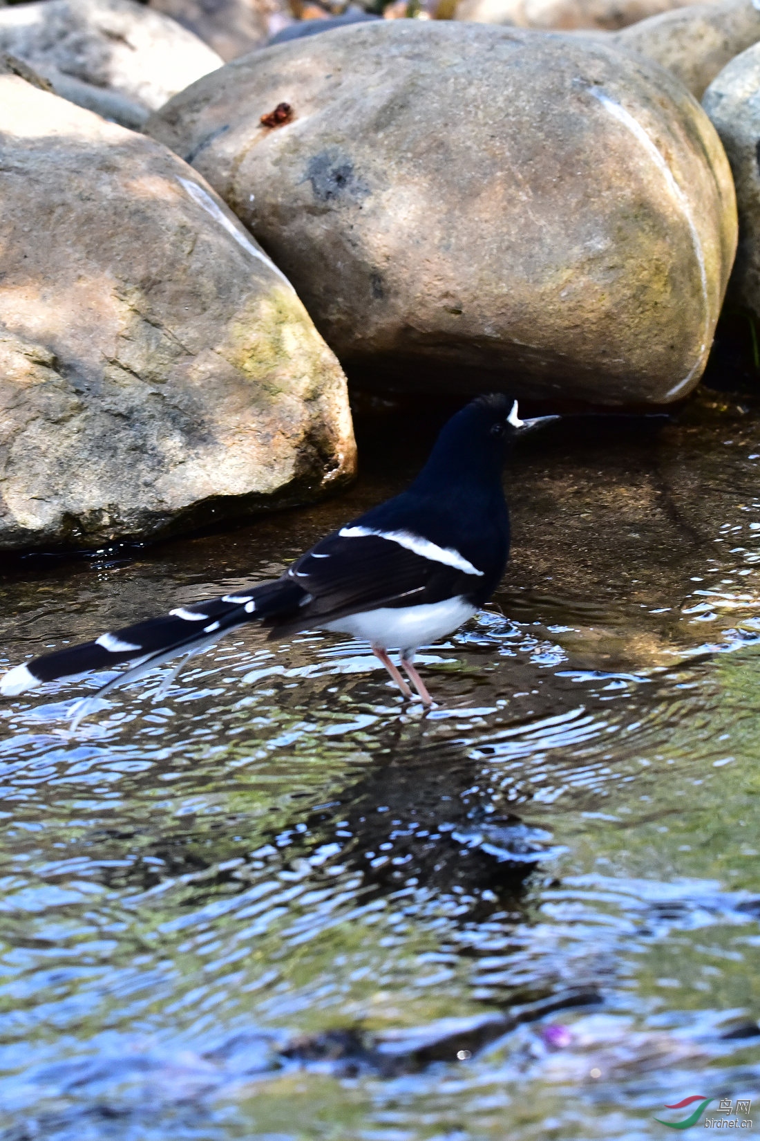 DSC_0317.JPG
