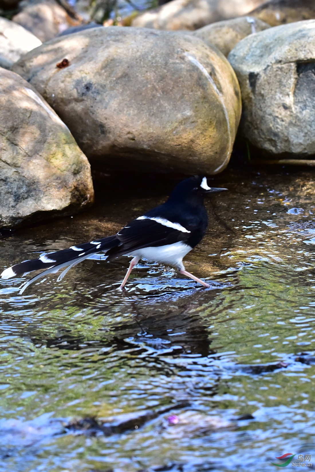 DSC_0318.JPG