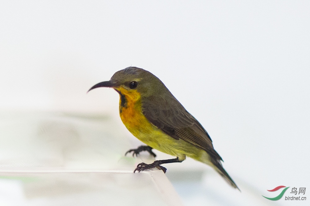 ʲô��1_1.JPG