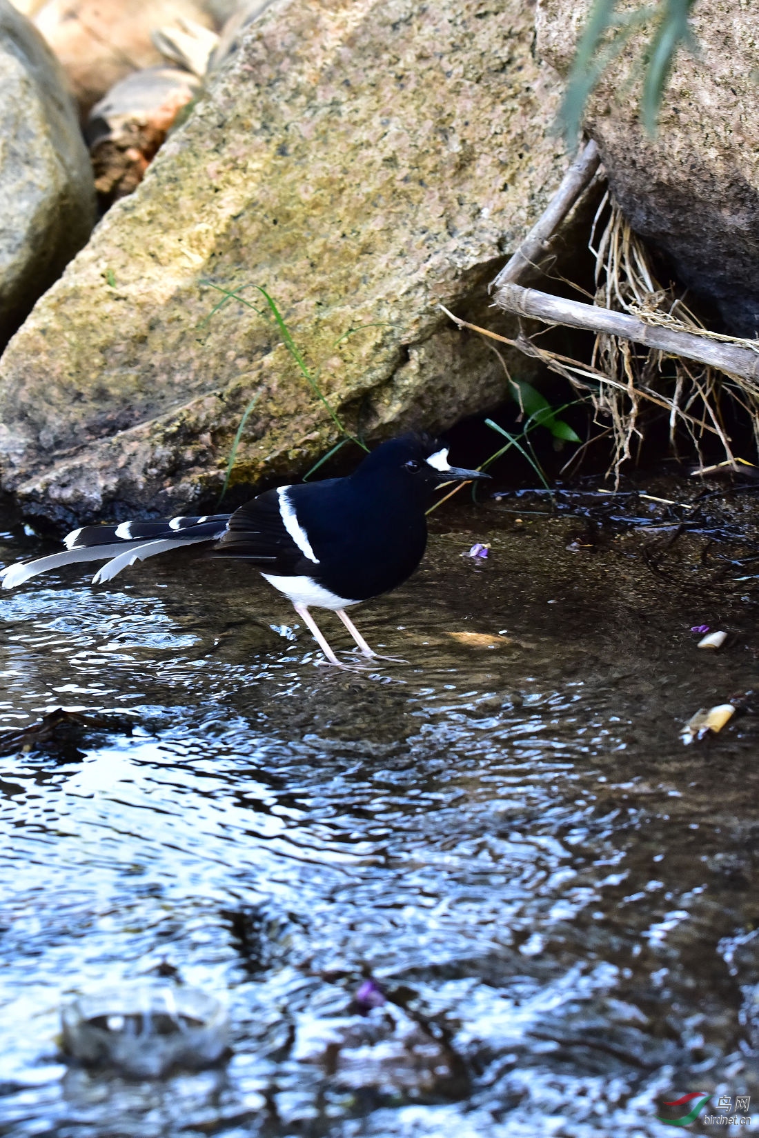 DSC_0322.JPG