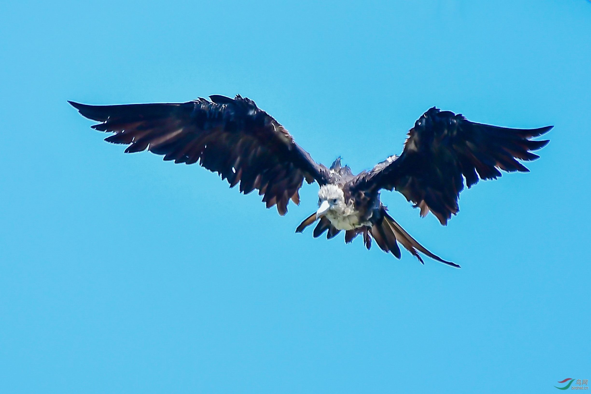 DSC_3721_1.JPG