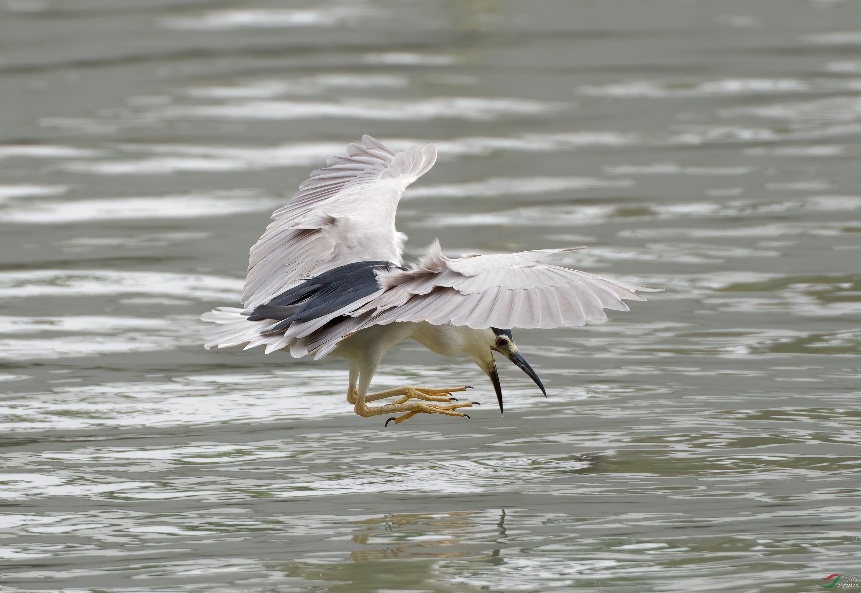 DSC_0147.jpg