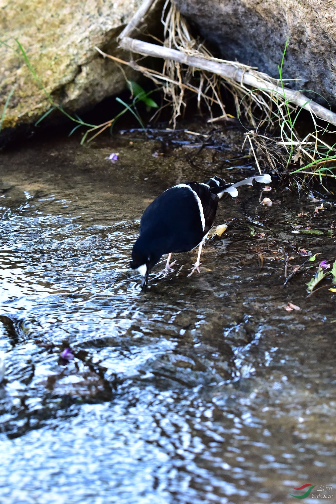 DSC_0326.JPG