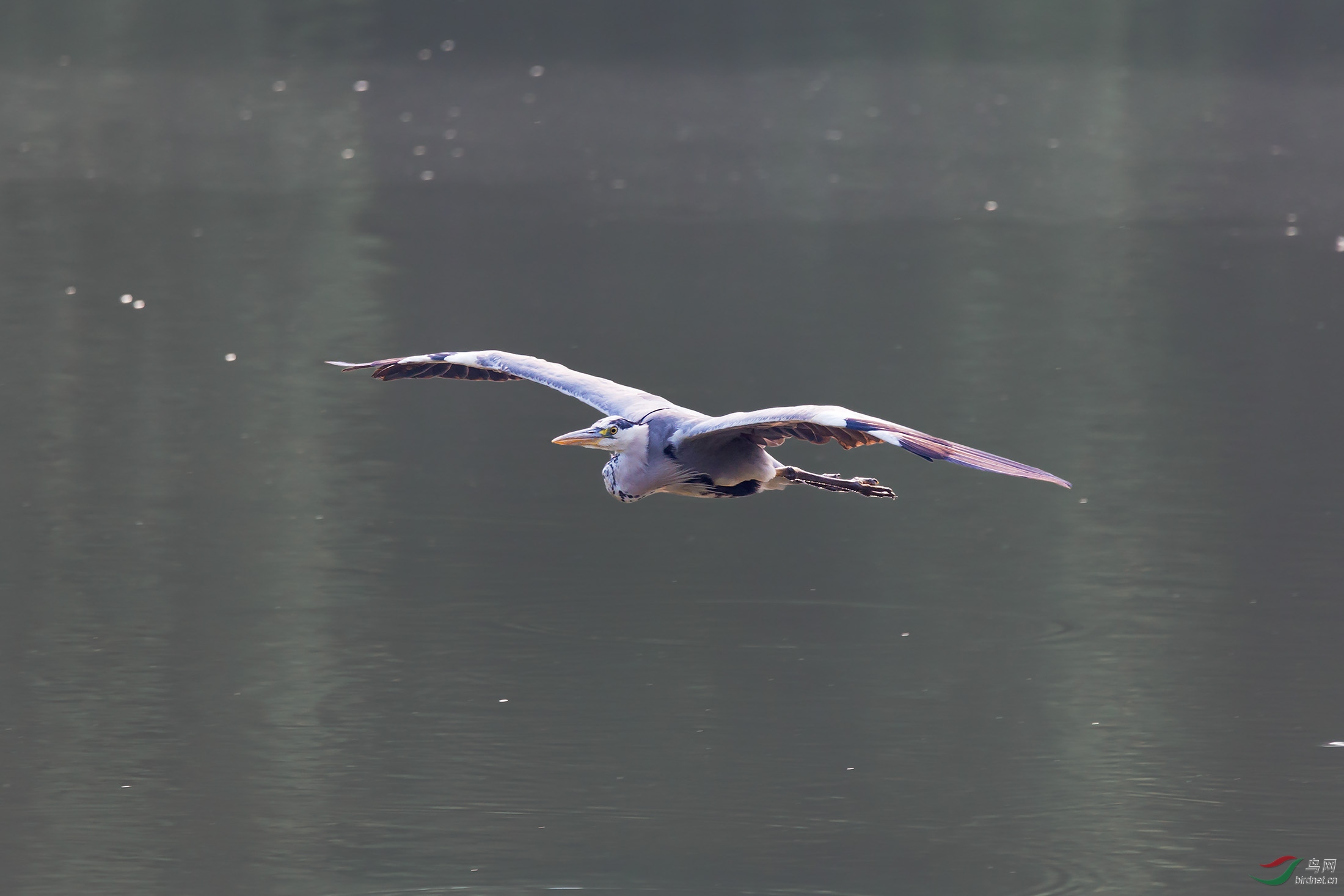 IMG_2150-3.jpg