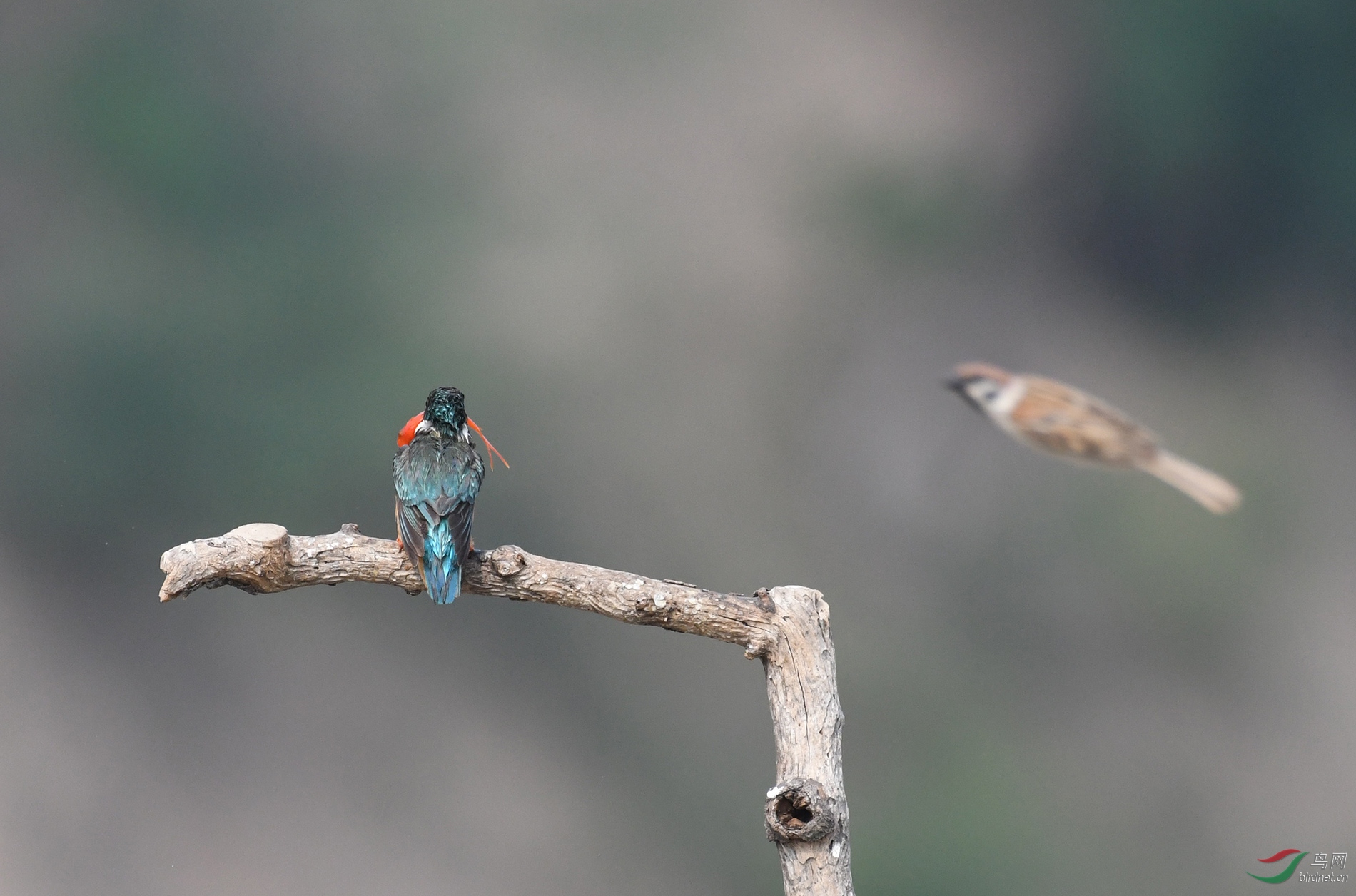 ������Ӱ 291����.jpg