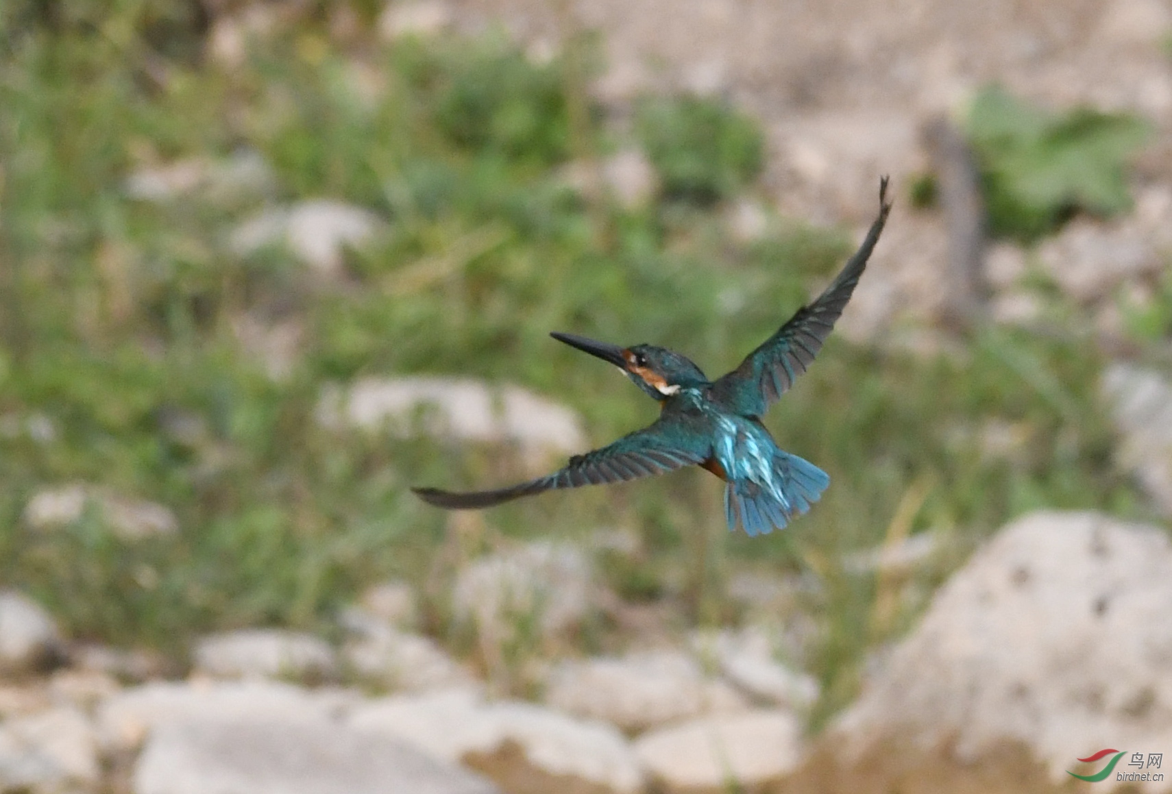 ������Ӱ 138����.jpg