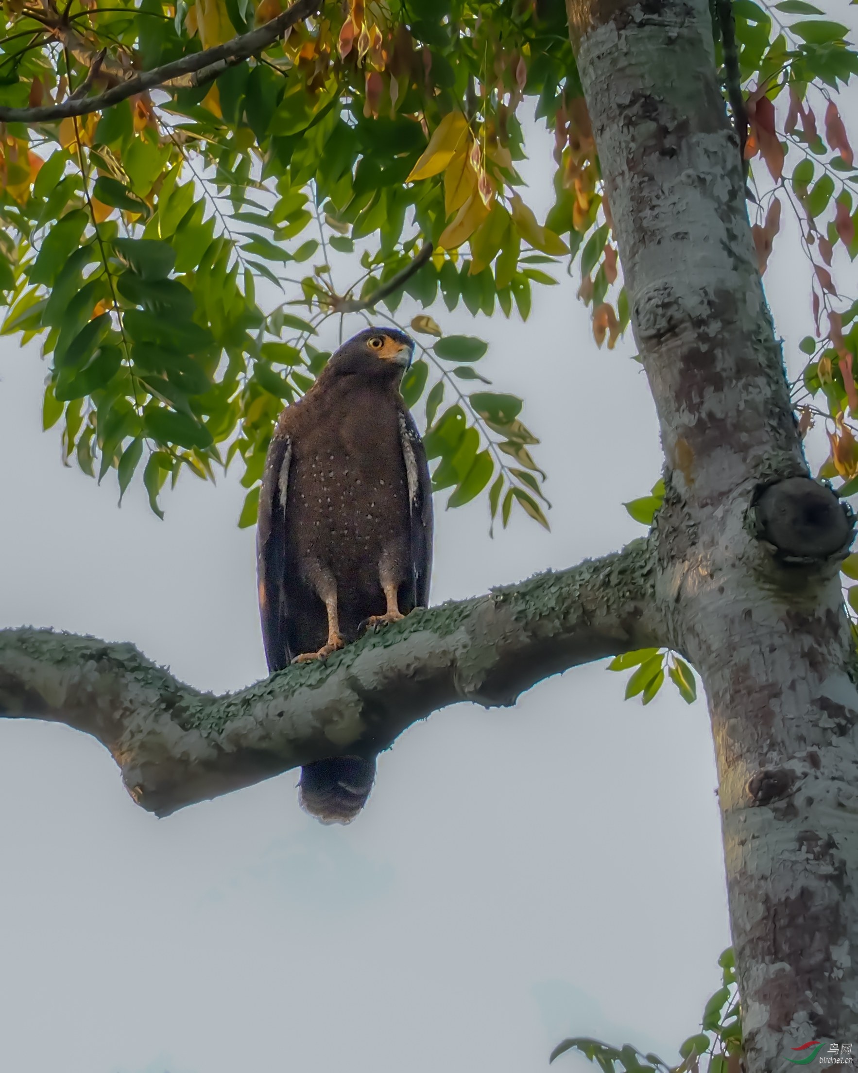 OLYMPUS CORPORATION     E-M1MarkII_20190315_0856131.jpg