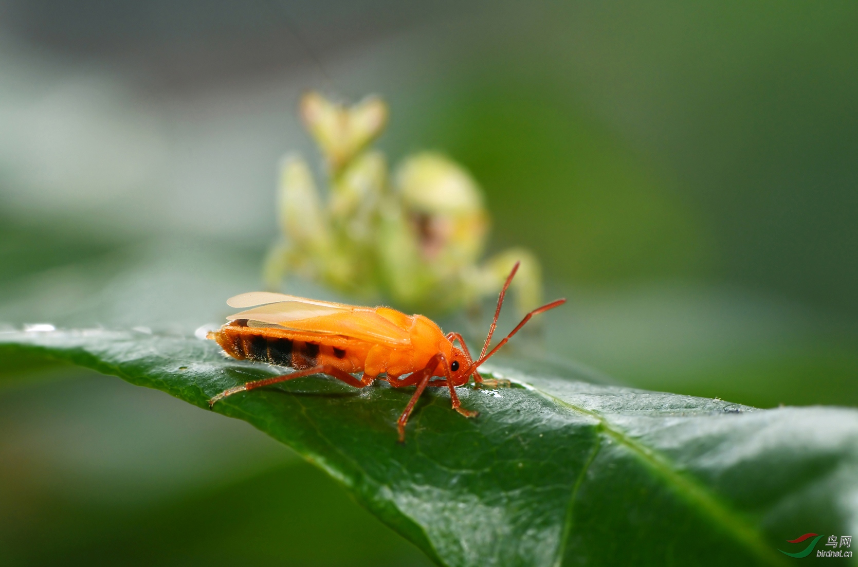 DSC_3151 ��������.jpg