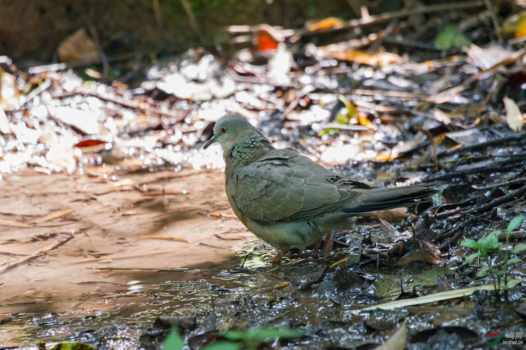 DSC_3324.jpg