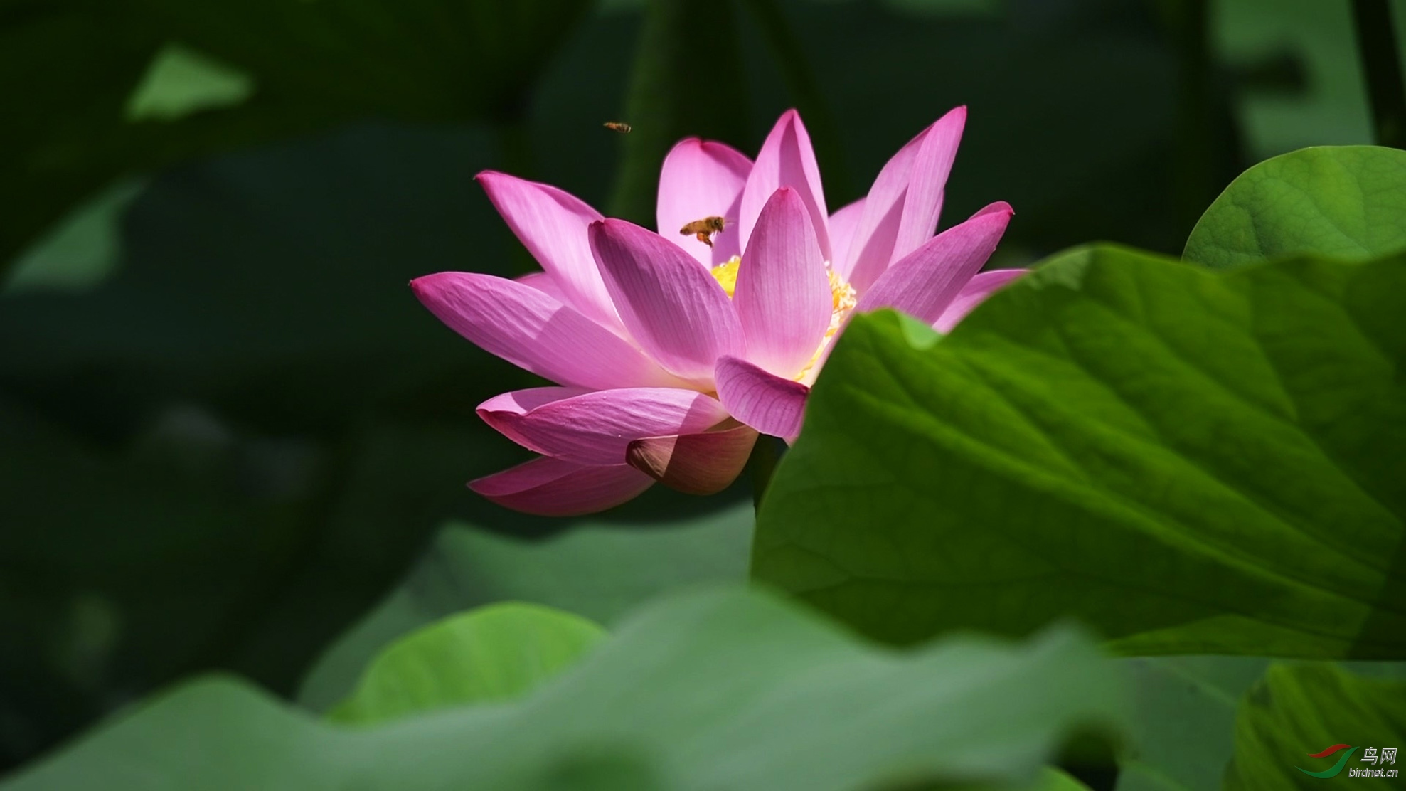 DSC_2457 00_00_05-00_00_13_Moment-01-p-2.jpg