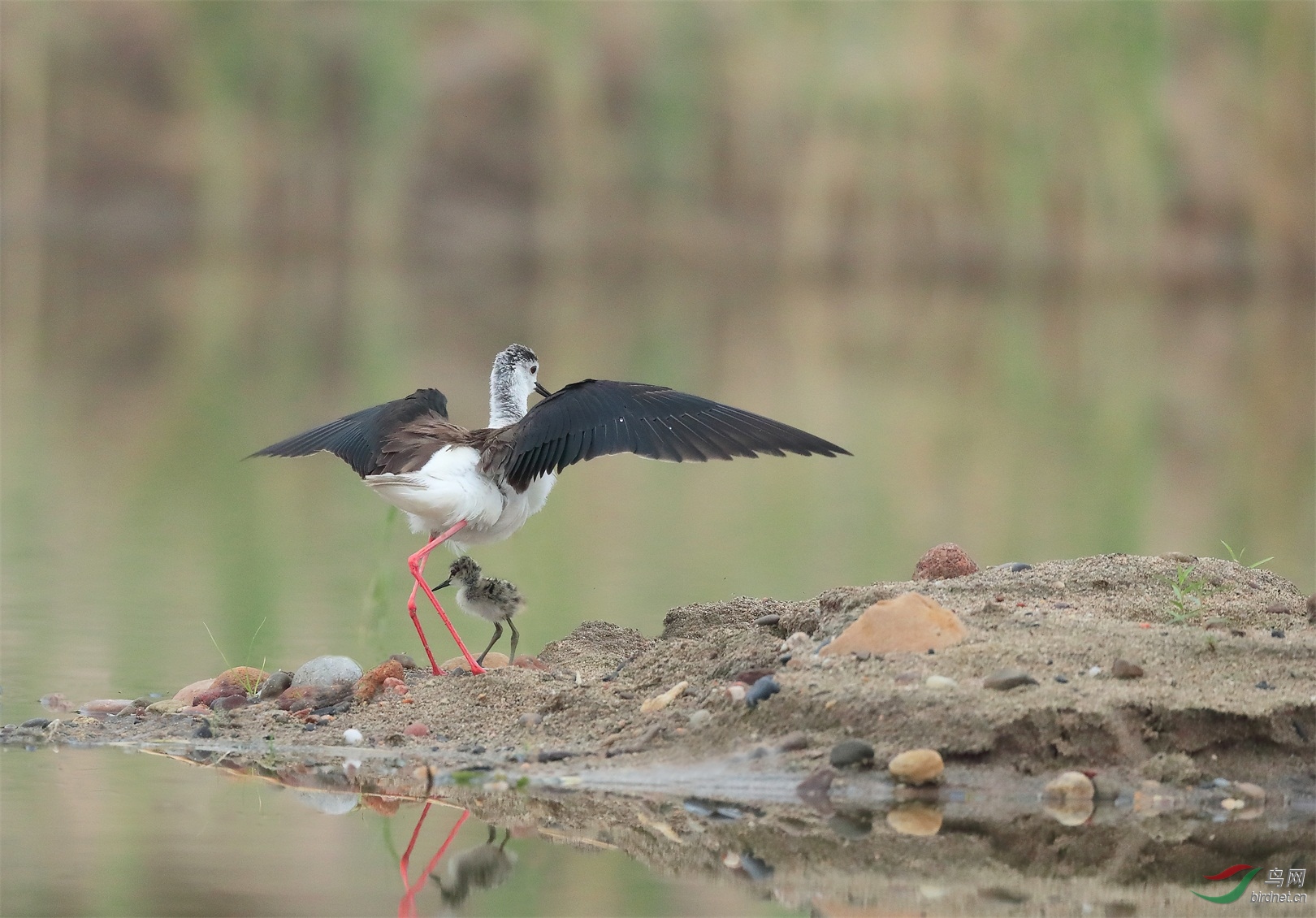 1 - ����.JPG