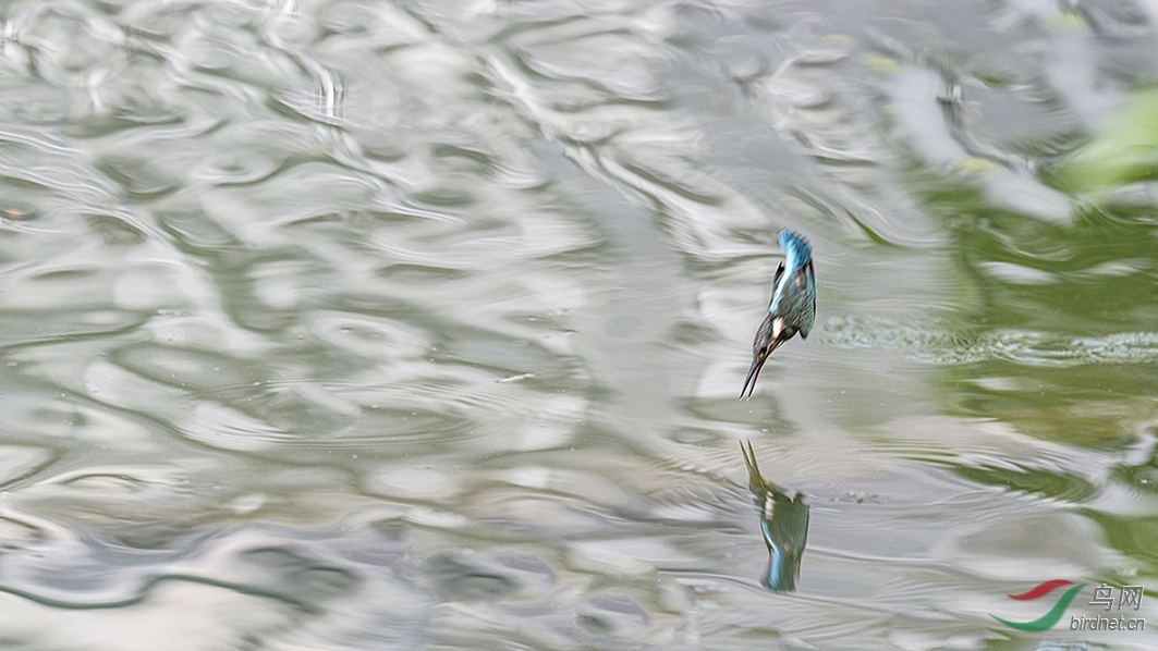 DSC00878.jpg
